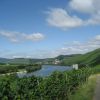 Herrliches Moseltal